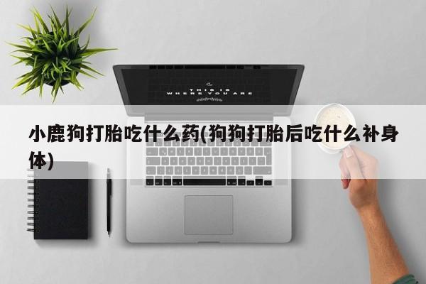 私人卖打胎药微信号，小鹿狗打胎吃什么药(狗狗打胎后吃什么补身体)