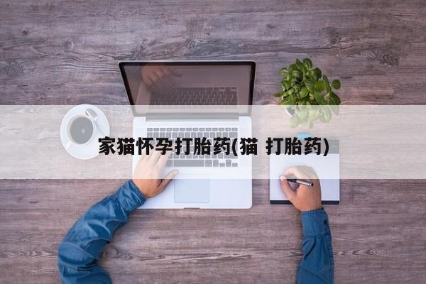 私人卖打胎药微信号，家猫怀孕打胎药(猫 打胎药)