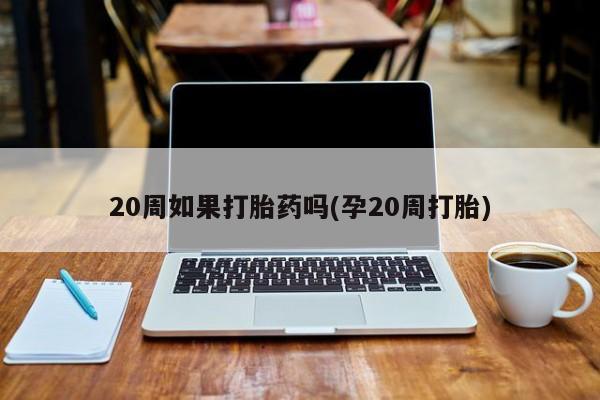 私人卖打胎药微信号，20周如果打胎药吗(孕20周打胎)